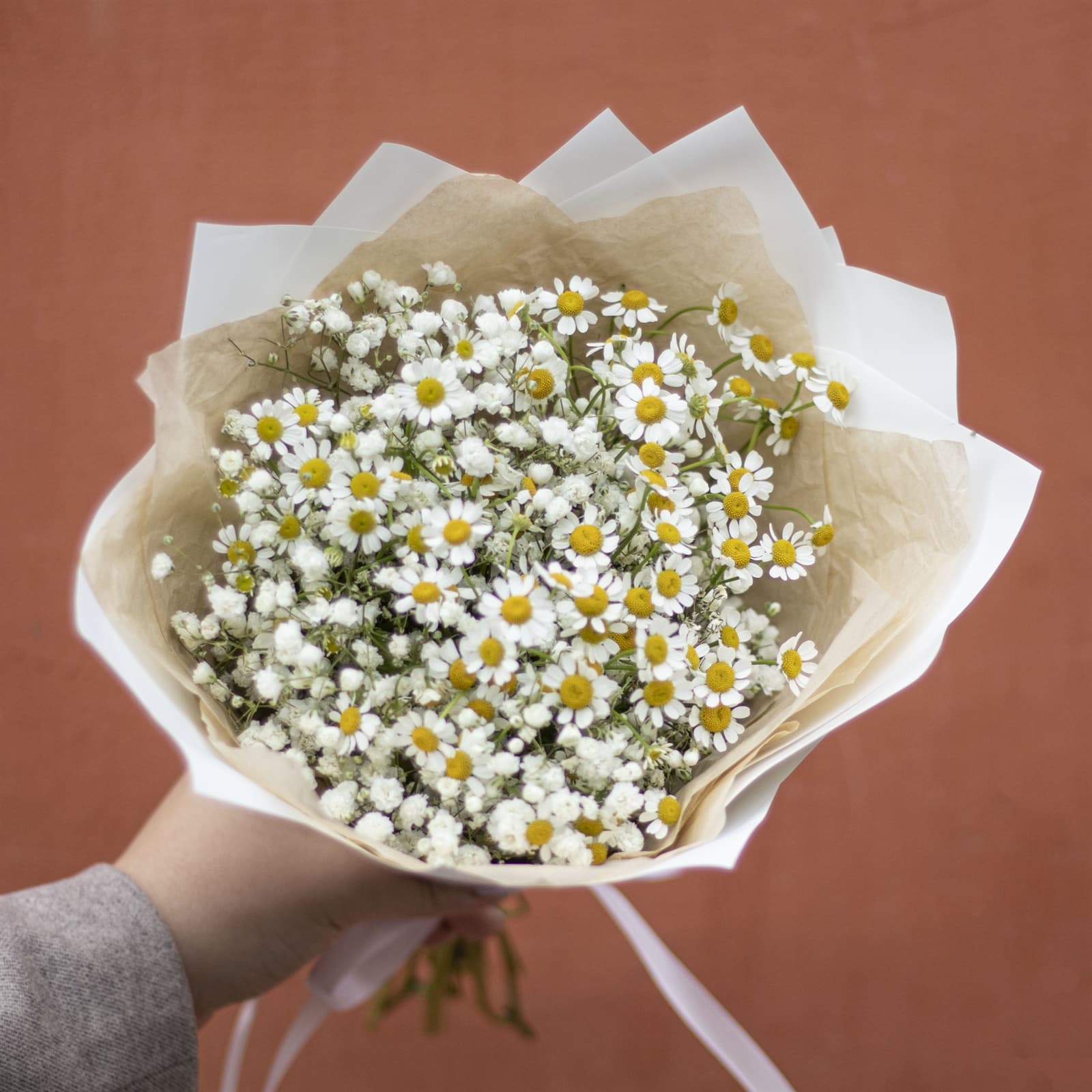 Букет из гипсофилы и ромашек — фото 5 — купить в Волгограде — фото 5