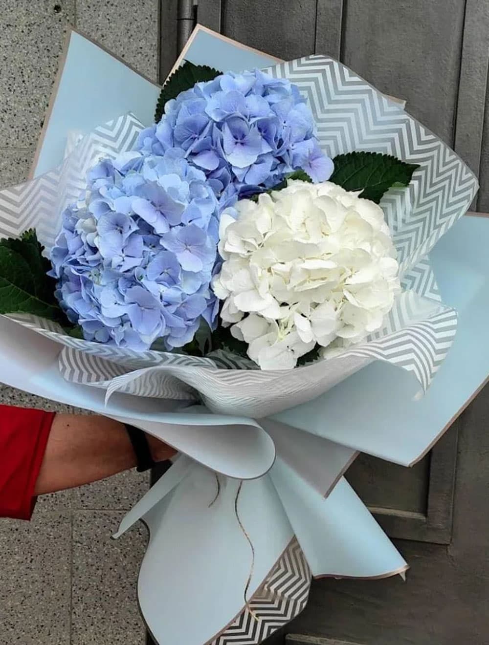 Букет из гортензии "Dreams" (цвет на выбор) — купить в Сочи