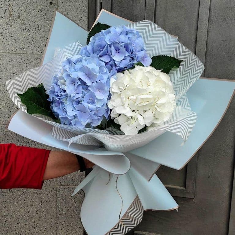 Букет из гортензии "Dreams" — купить в Краснодаре — фото 2