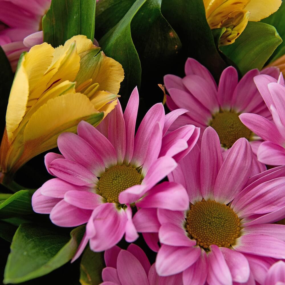 Букет из хризантем и альстромерии — фото 4 — купить в Сочи — фото 4