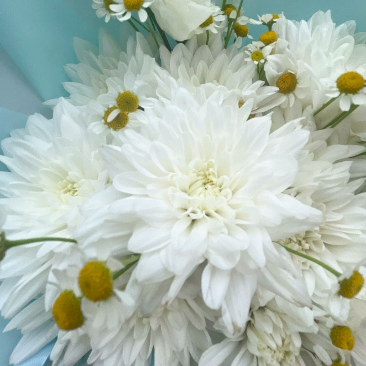 Букет из кустовой хризантемы и ромашек — купить в Ростове-на-Дону — фото 4