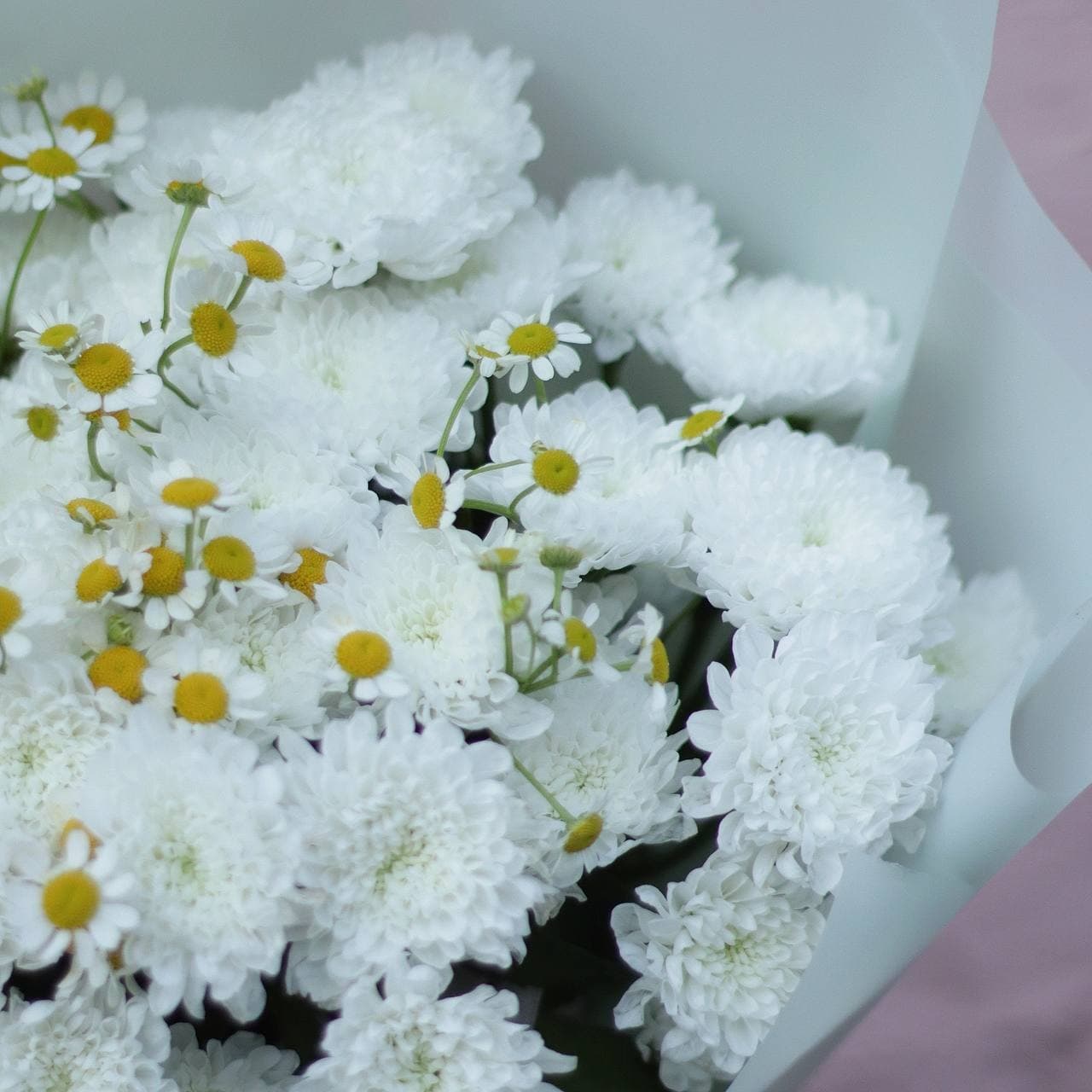 Букет из кустовой хризантемы и ромашек — фото 2 — купить в Волгограде — фото 2