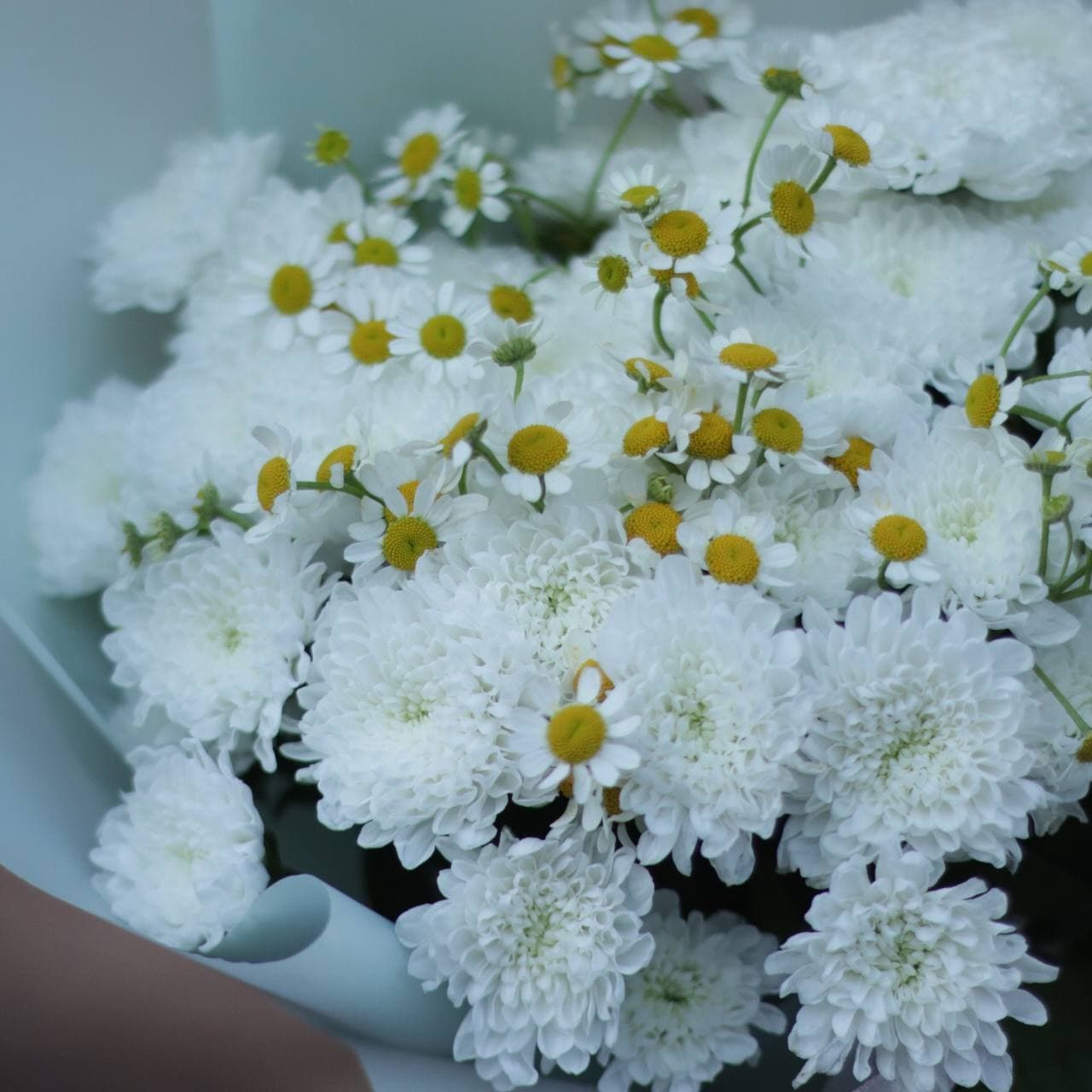 Букет из кустовой хризантемы и ромашек — фото 3 — купить в Волгограде — фото 3