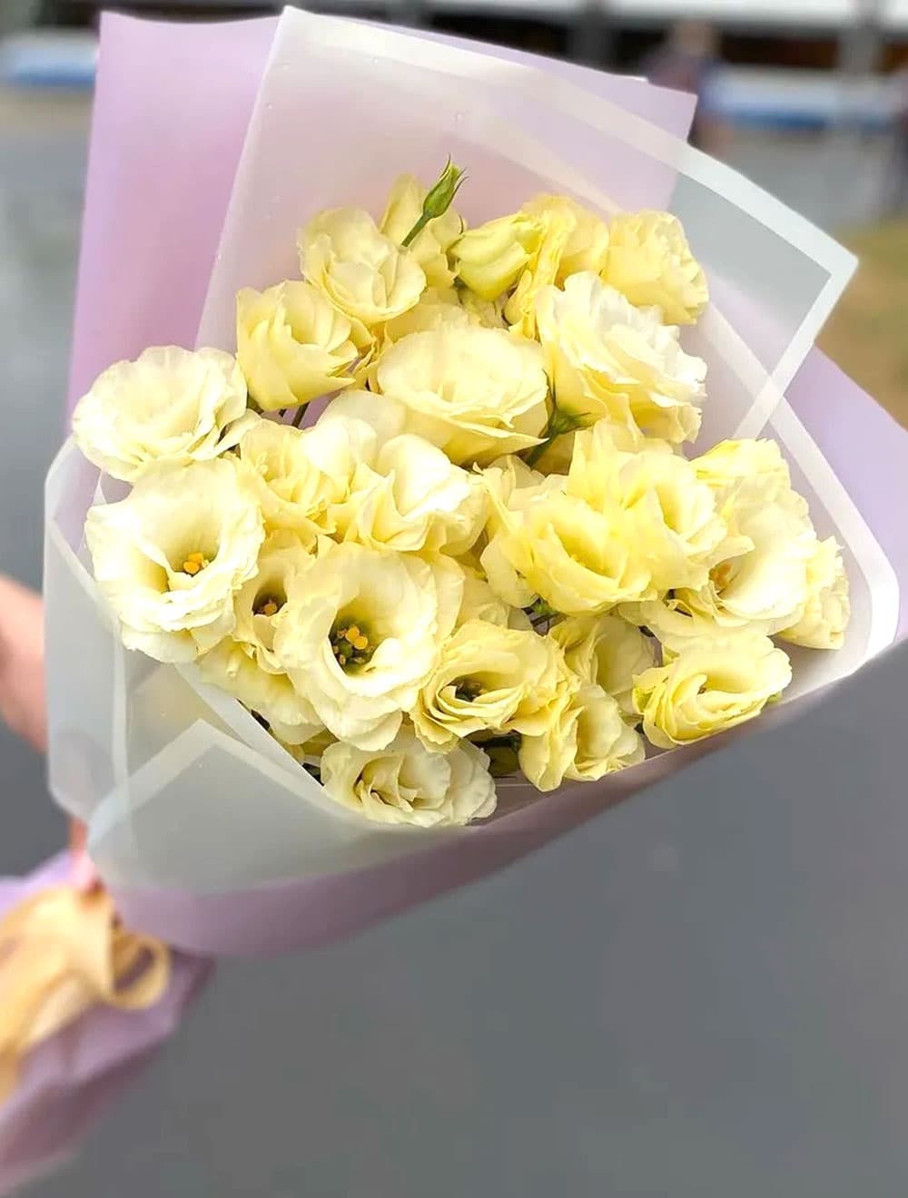 Букет махровых эустом (цвет на выбор) — фото 2 — купить в Сочи — фото 2