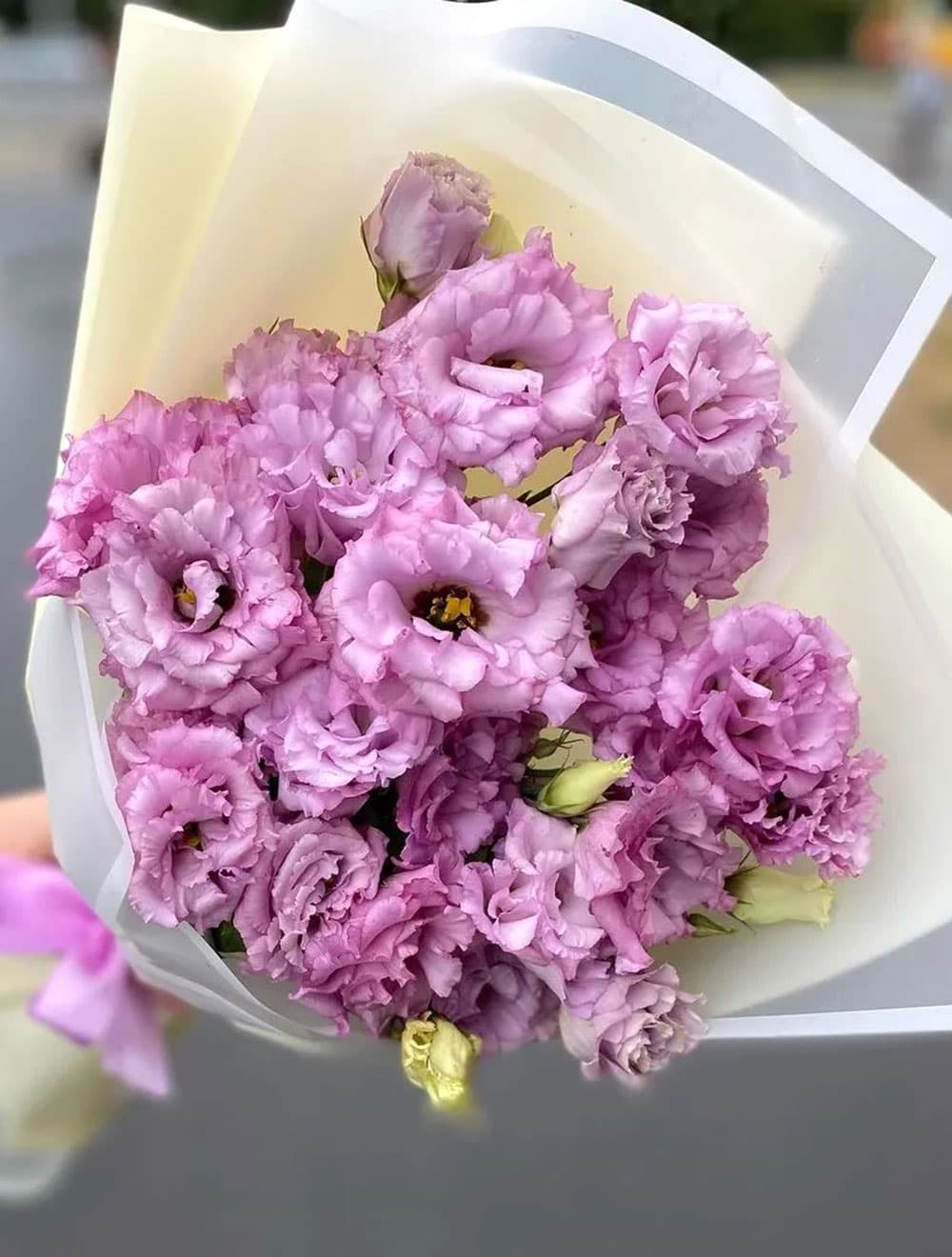 Букет махровых эустом (цвет на выбор) — фото 4 — купить в Сочи — фото 4