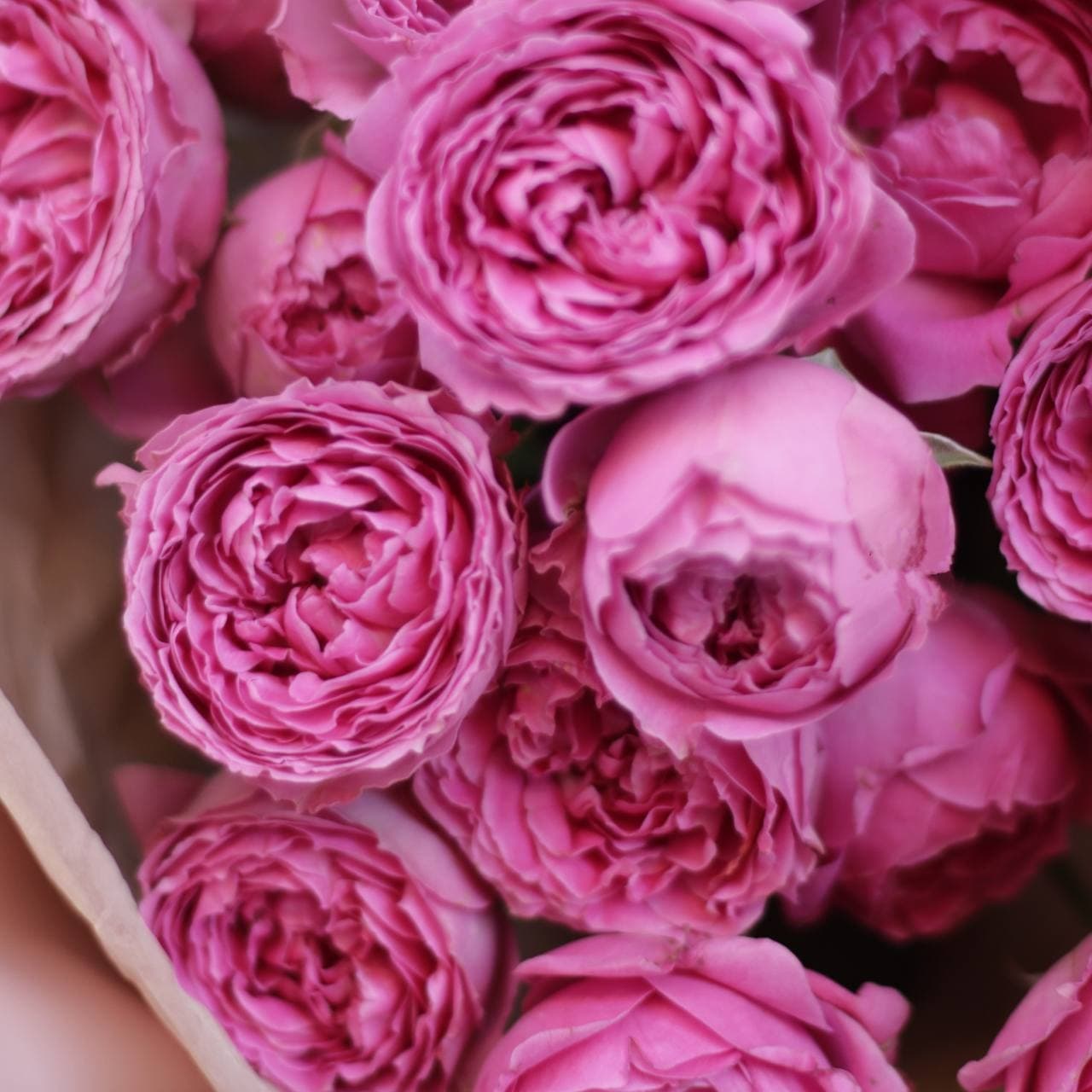 Букет "Misty Bubbles" — купить в Ростове-на-Дону — фото 2