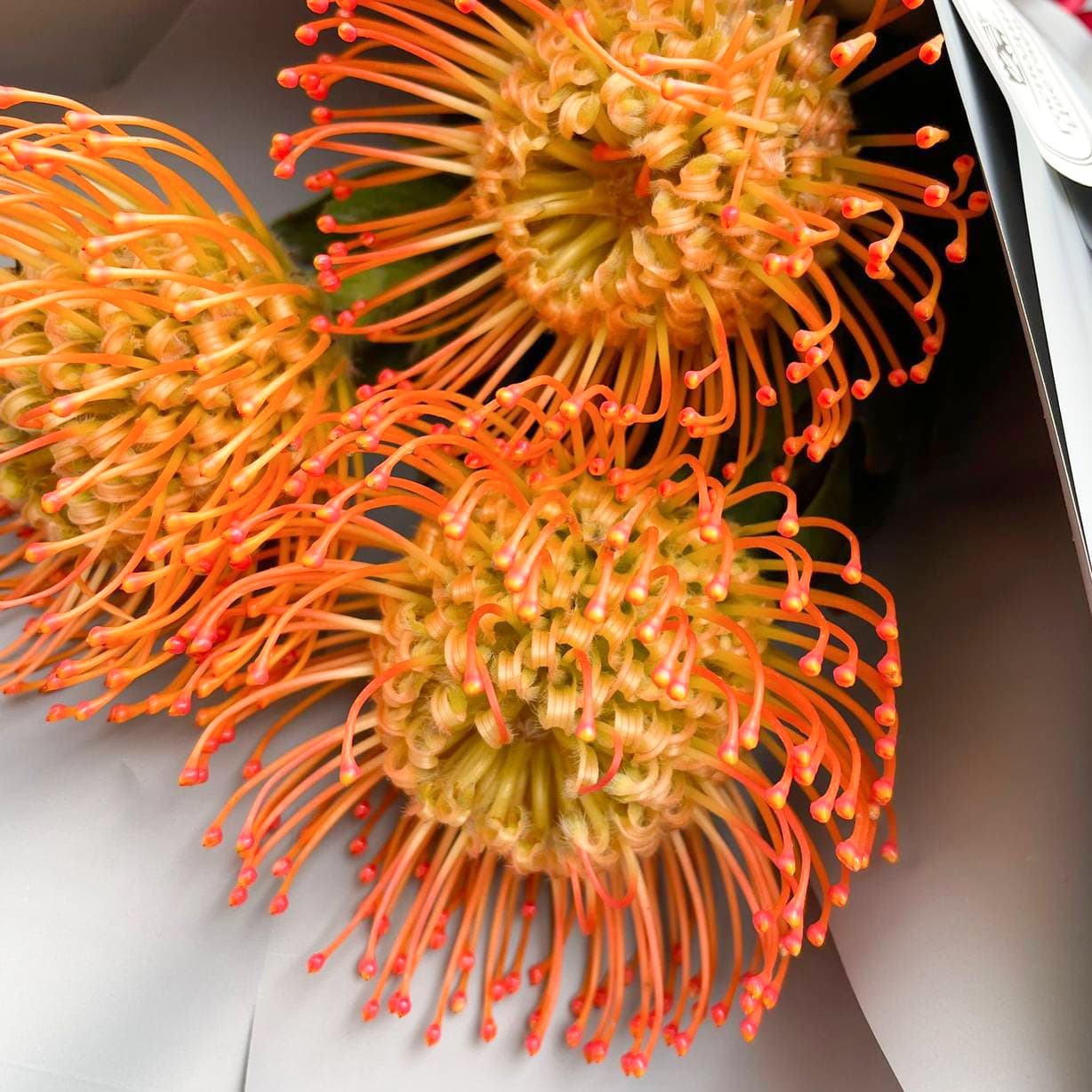 Букет "Ночные огни" — фото 2 — купить в Краснодаре — фото 2