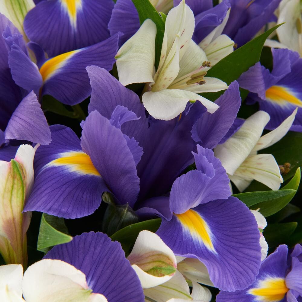 Букет "Snow sky" — фото 2 — купить в Волгограде — фото 2