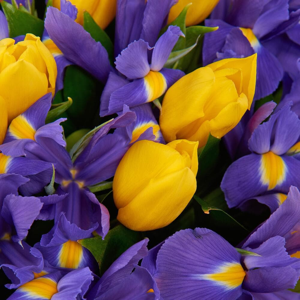 Букет "Starfall" — купить в Ростове-на-Дону — фото 2