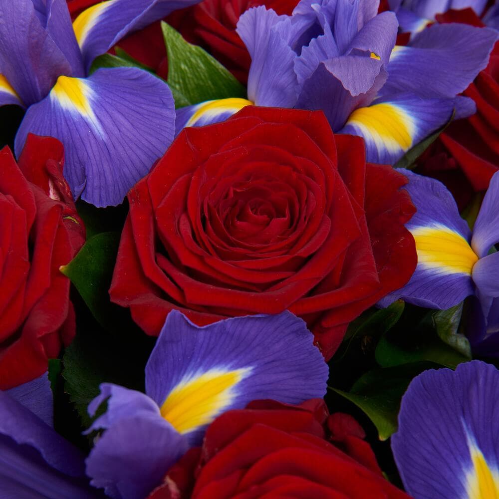 Букет Зимняя вишня — фото 5 — купить в Сочи — фото 5