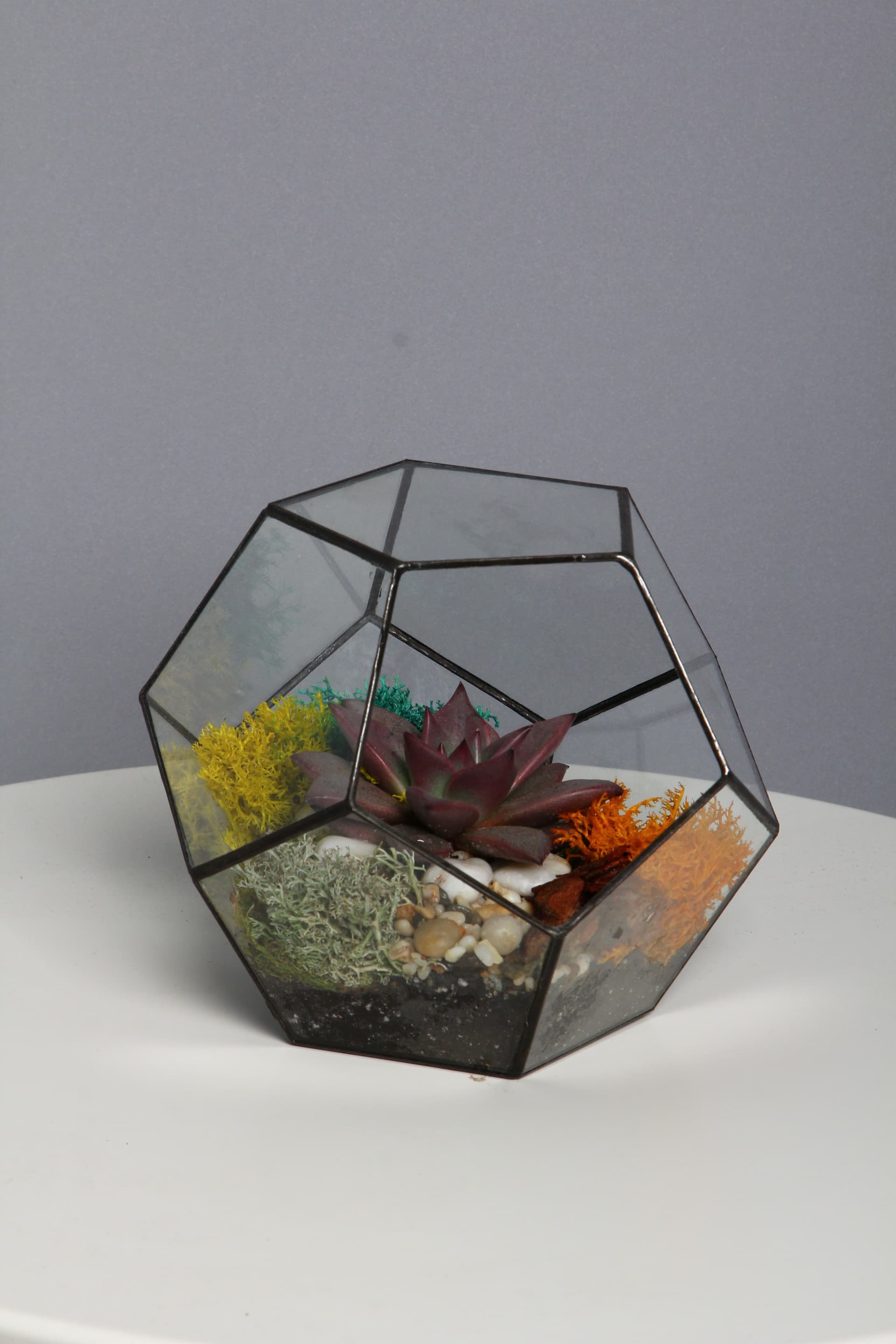 Флорариум "Додэкаэдр маленький" — купить в Краснодаре