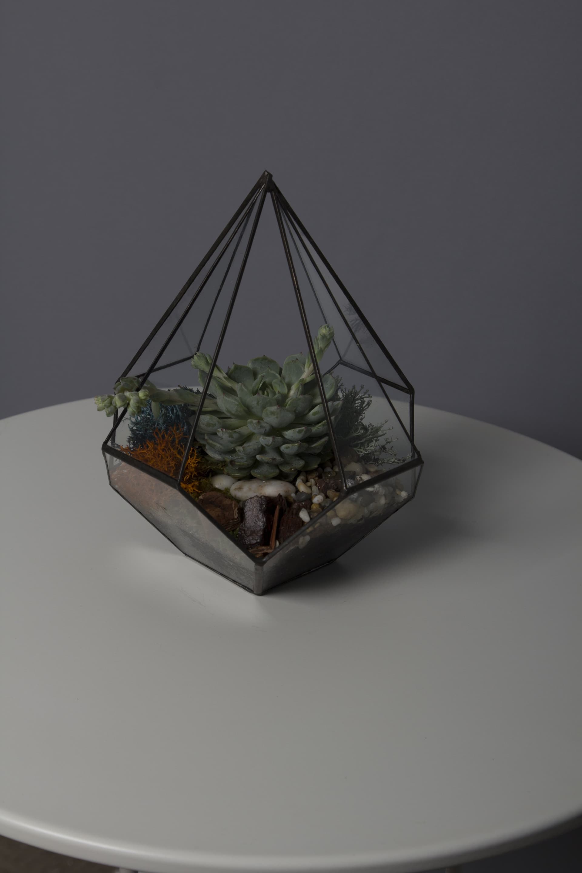 Флорариум Конус маленький — купить в Краснодаре