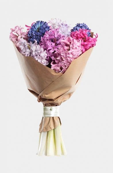 Гиацинты — купить в Ростове-на-Дону