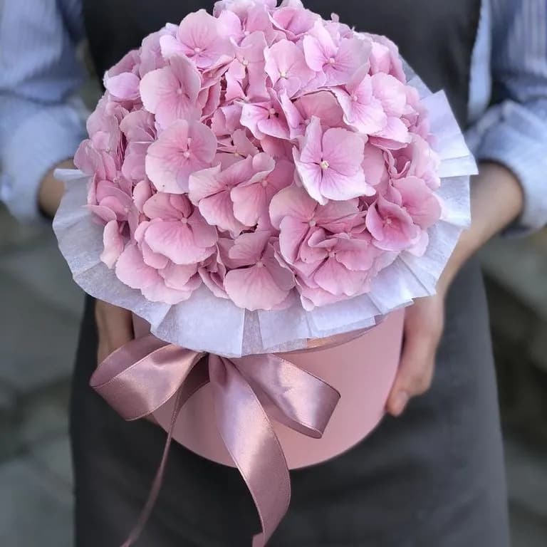 Гортензия в шляпной коробке — купить в Ростове-на-Дону