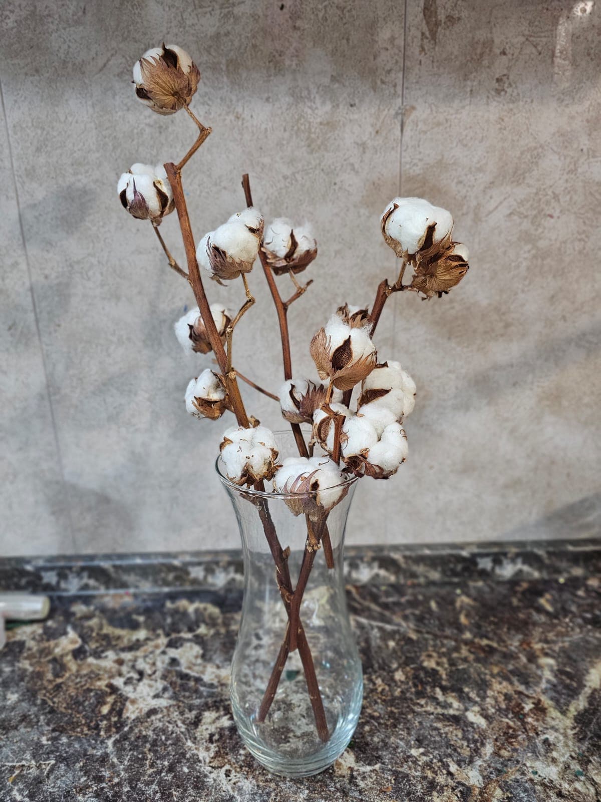 Хлопок в вазе — купить в Ростове-на-Дону