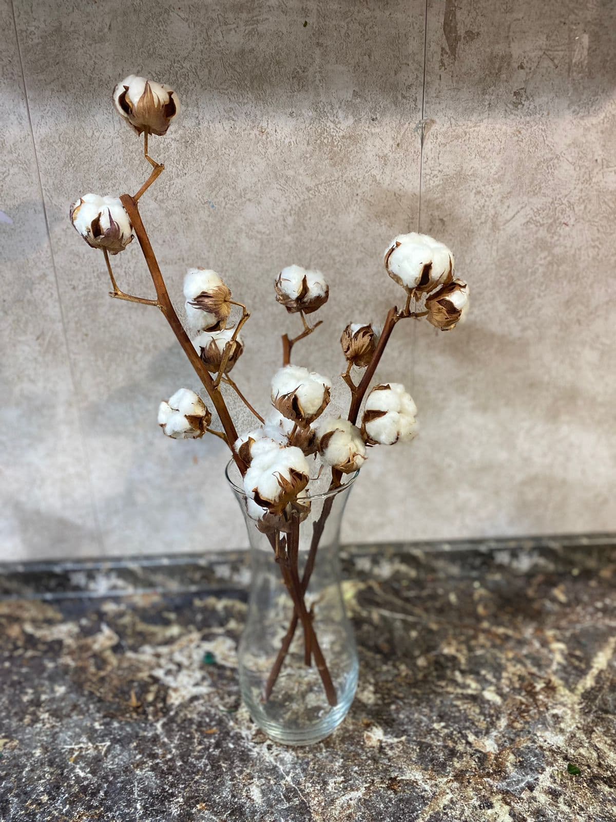 Хлопок в вазе — купить в Ростове-на-Дону — фото 2