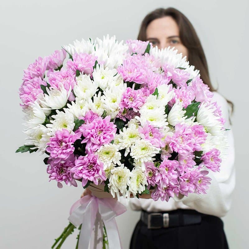 Хризантема кустовая — купить в Ростове-на-Дону