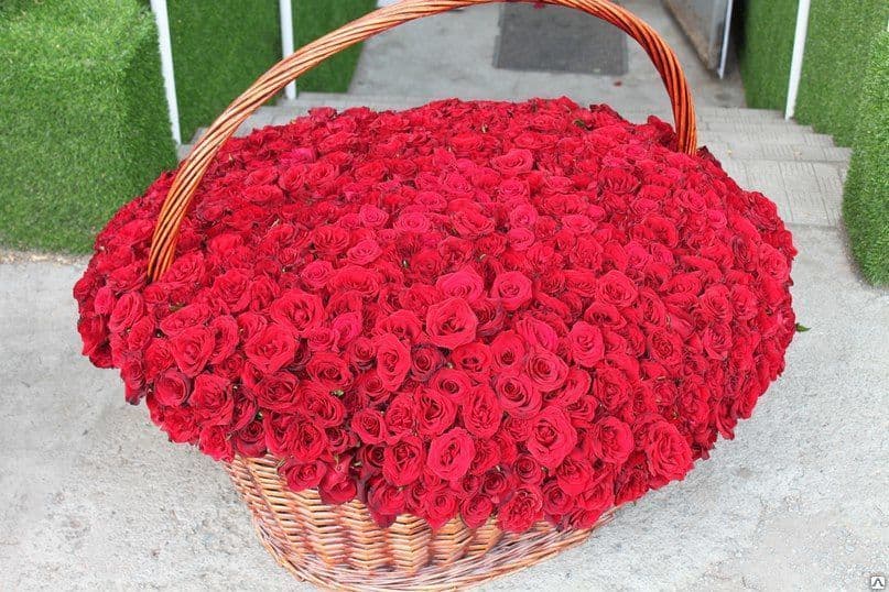 Композиция из 1001 розы — купить в Волгограде