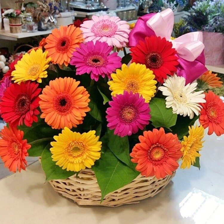 Композиция "Tropicana"