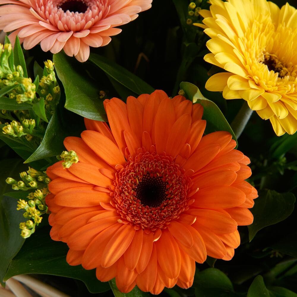 Корзина с герберами — фото 2 — купить в Волгограде — фото 2