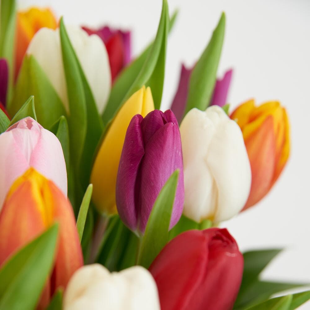 Корзина ярких тюльпанов — фото 2 — купить в Волгограде — фото 2