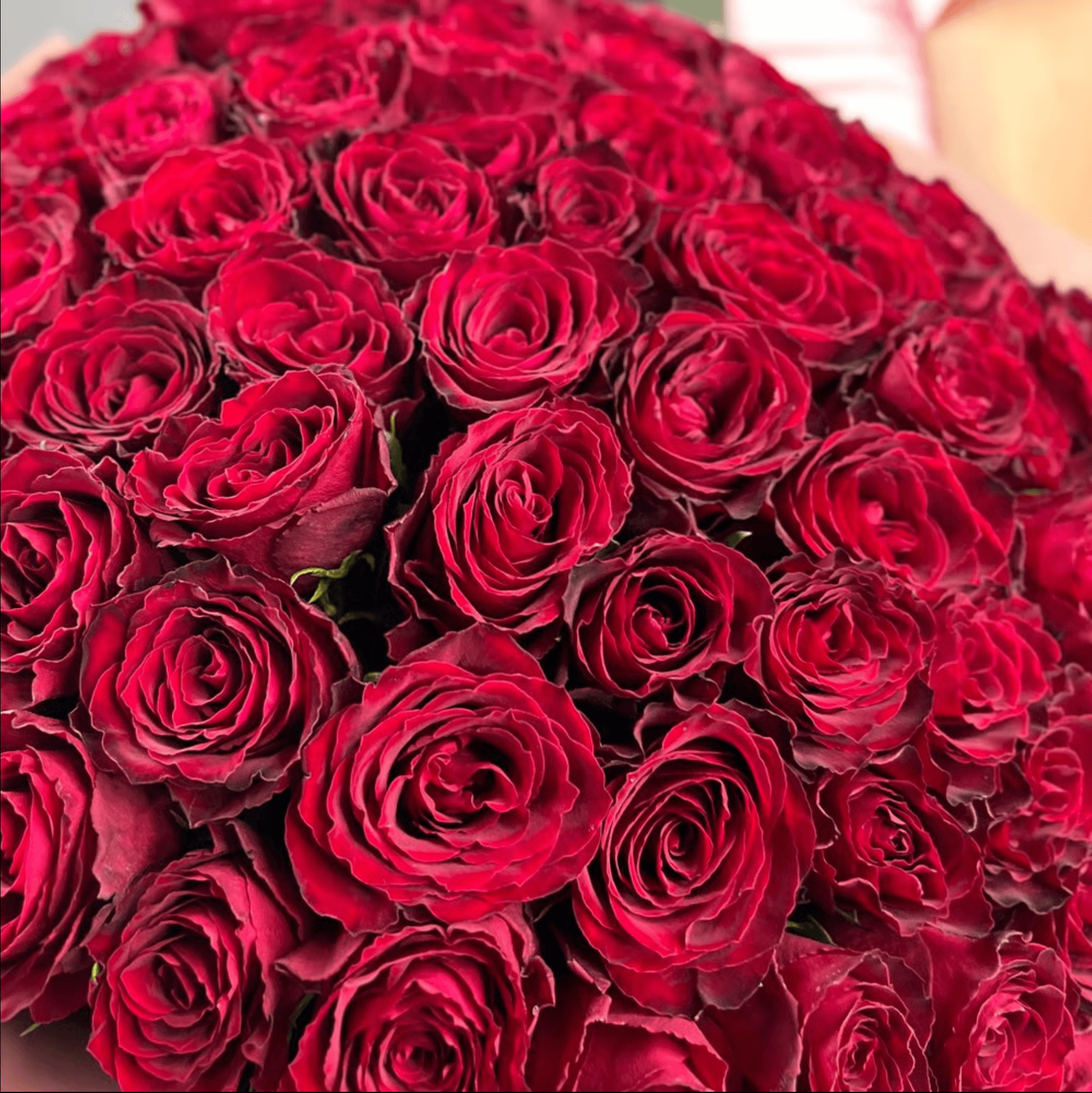 Мадам Ред - 101 роза — фото 2 — купить в Сочи — фото 2