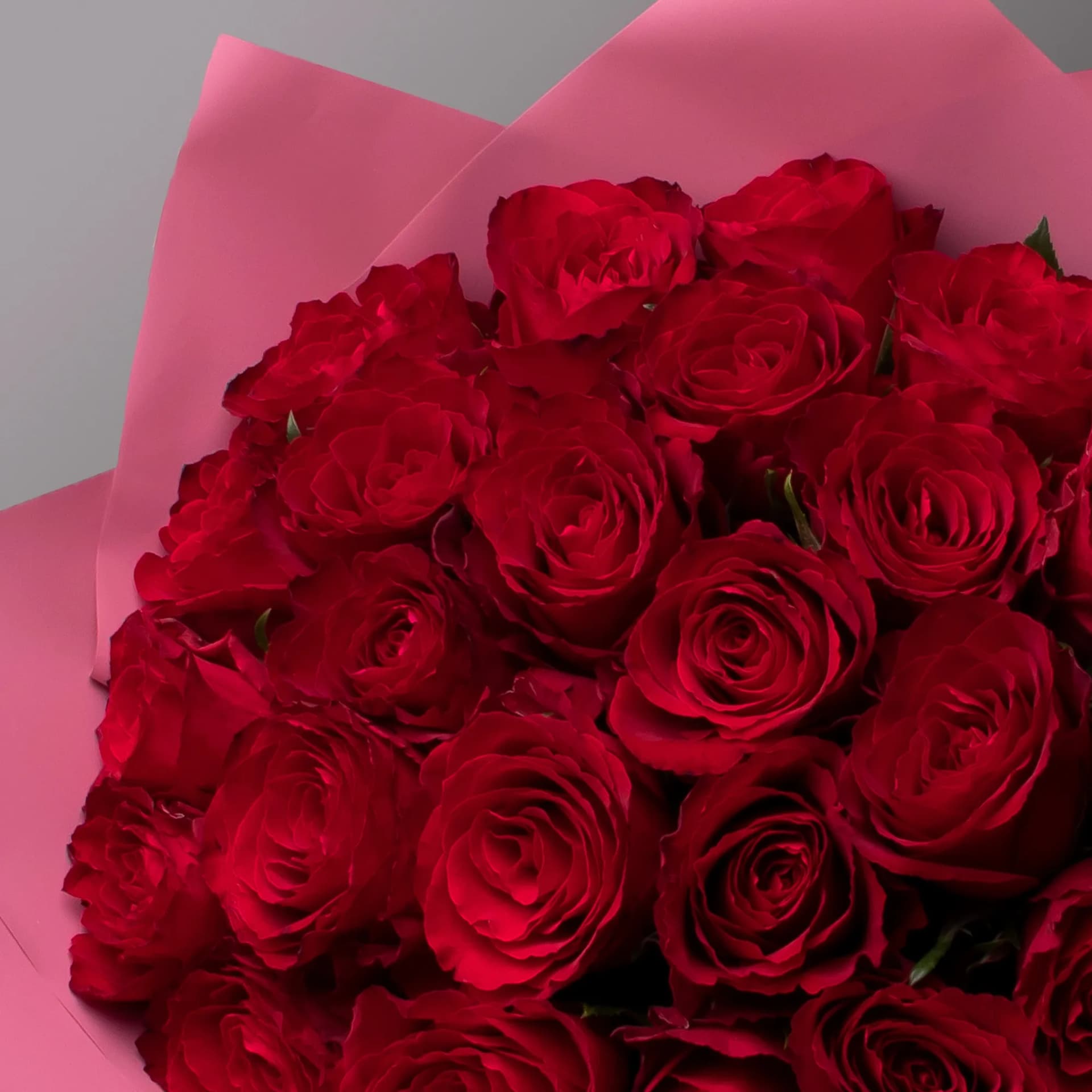 Мадам Ред - 25 роз — фото 2 — купить в Сочи — фото 2