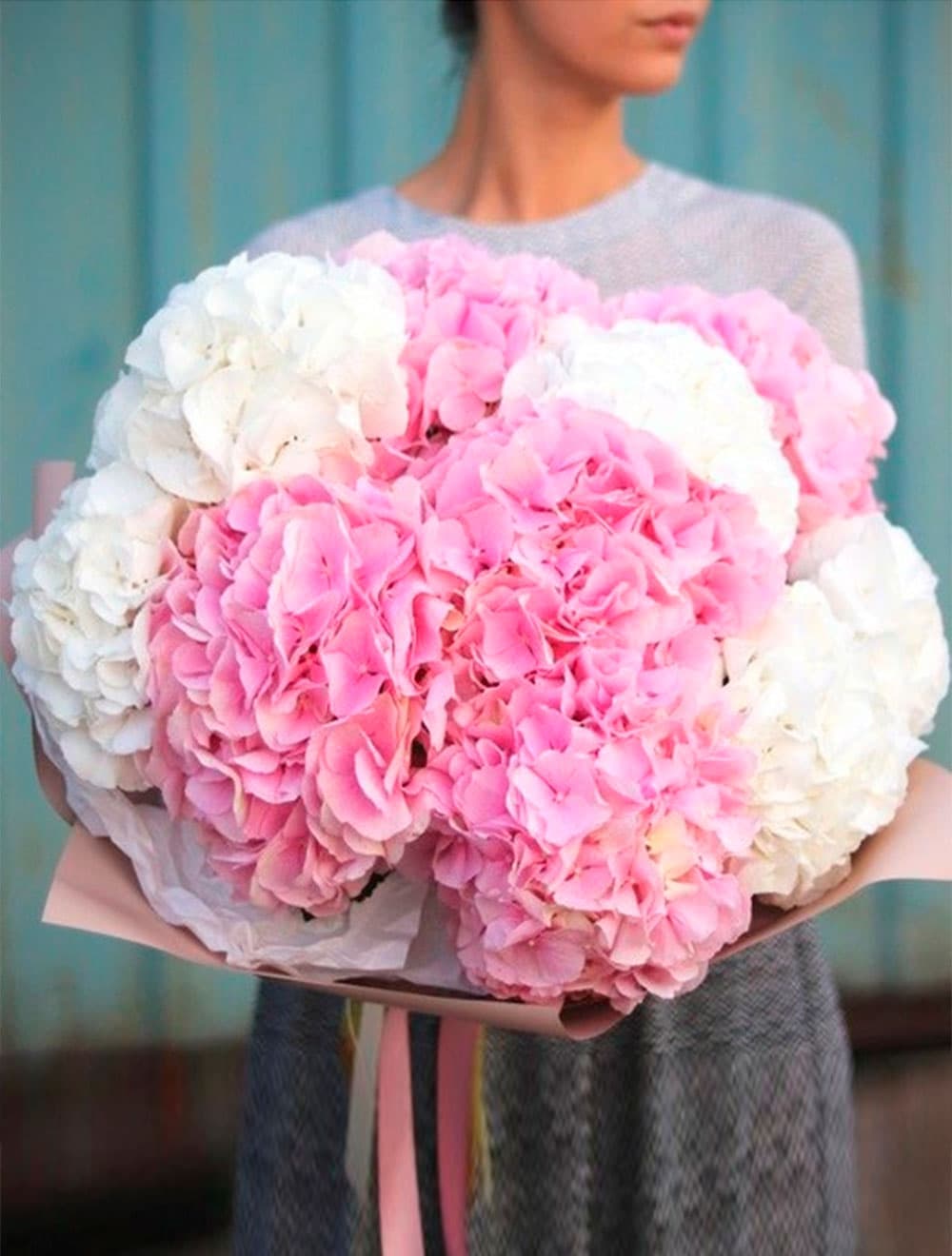 Микс из 11 гортензий — купить в Краснодаре