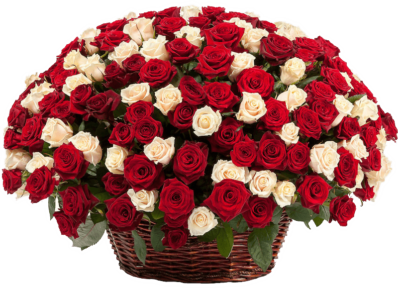 Микс из 201 розы в корзине