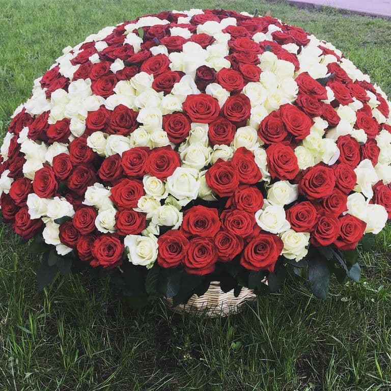 МИКС ИЗ 201 РОЗЫ В КОРЗИНЕ — фото 2 — купить в Волгограде — фото 2