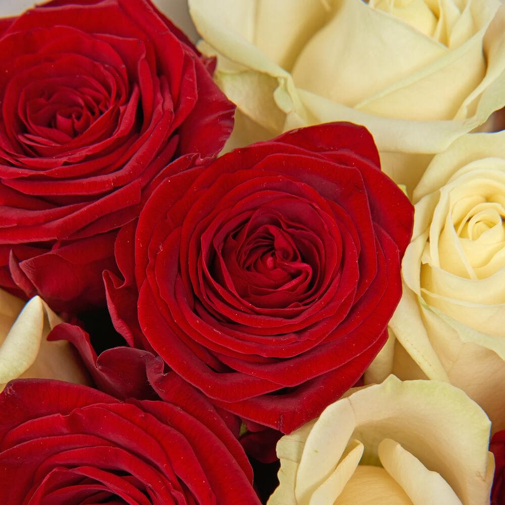 Микс из 25 роз — фото 4 — купить в Сочи — фото 4