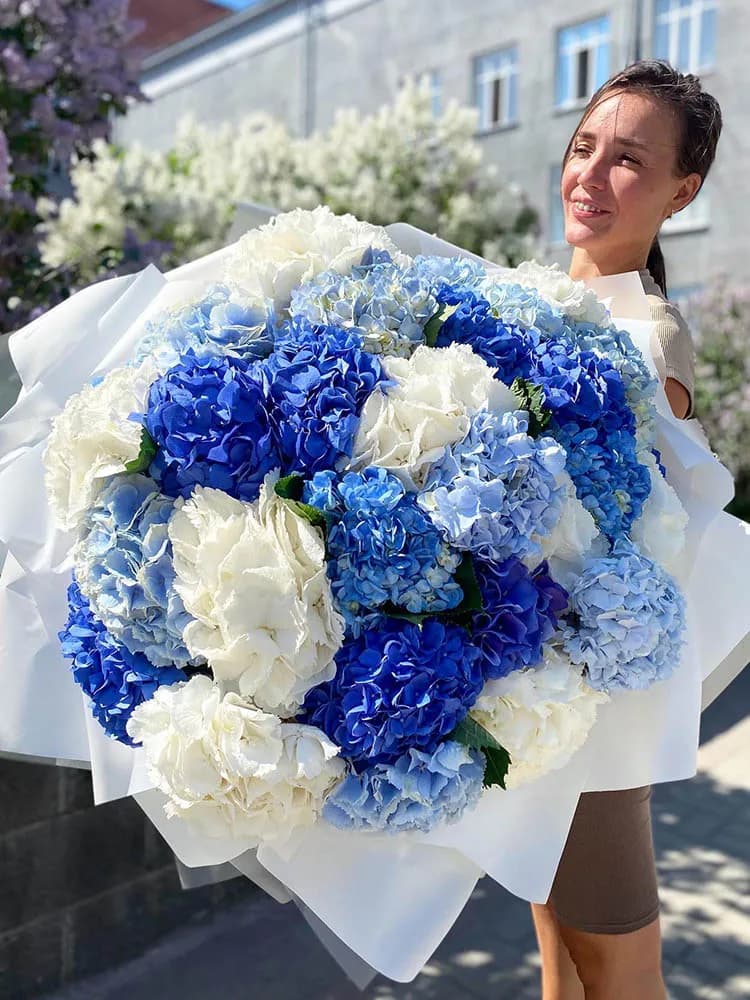 Микс из 31 гортензии — фото 2 — купить в Краснодаре — фото 2