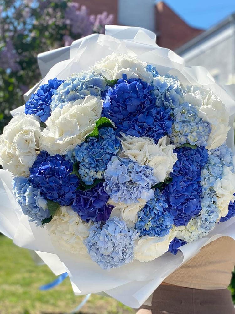 Микс из 31 гортензии — купить в Ростове-на-Дону