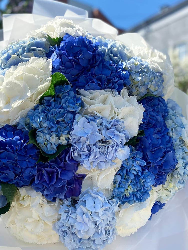 Микс из 31 гортензии — купить в Ростове-на-Дону — фото 3