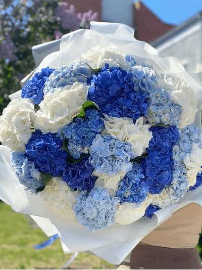 Микс из 31 гортензии — фото 1 — купить в Волгограде