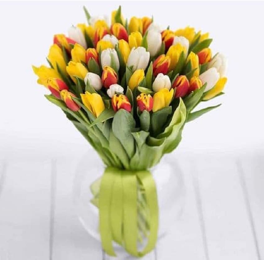 Микс из 51 тюльпана