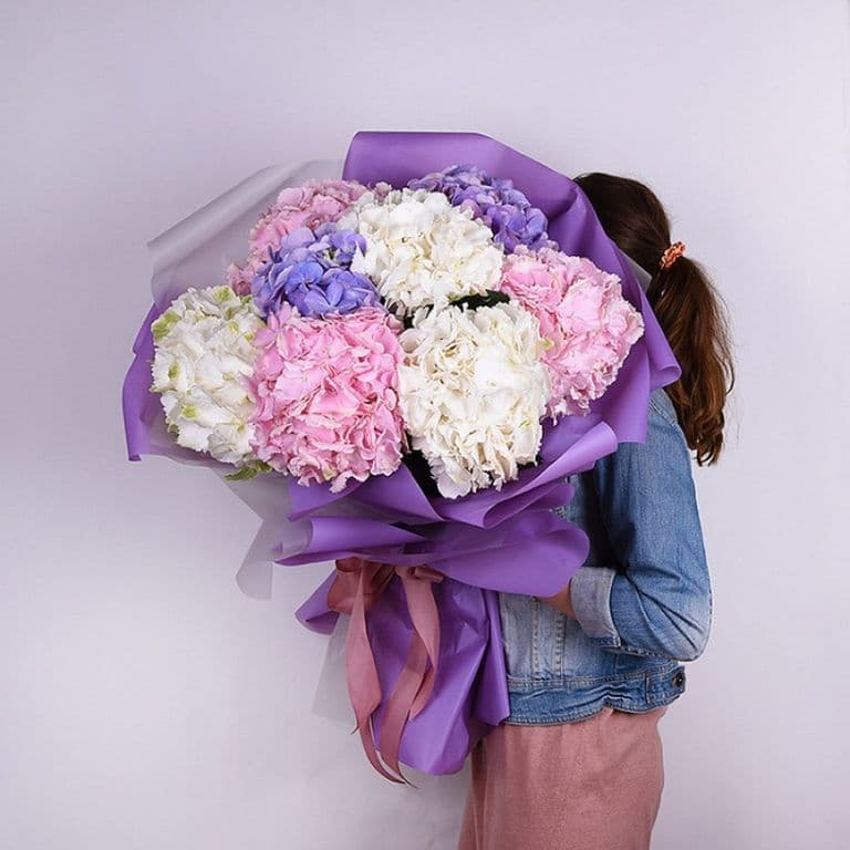 Микс из 7 гортензий — купить в Краснодаре