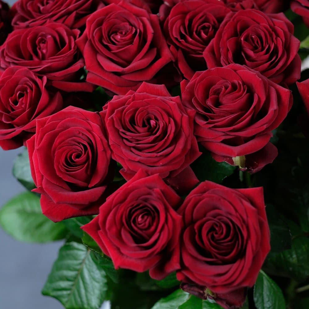 Букет Нежность из 25 роз 80 см — крупный план — купить в Волгограде — фото 3