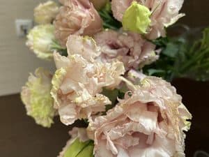 Фото из отзыва покупателя