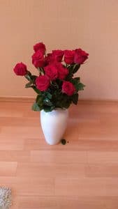 Фото из отзыва покупателя