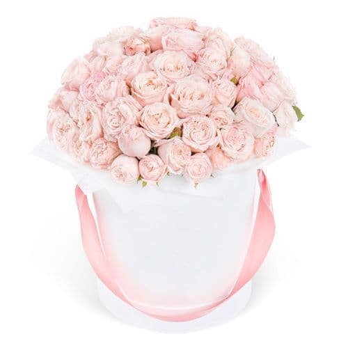 Шляпная коробка "Bombastic"