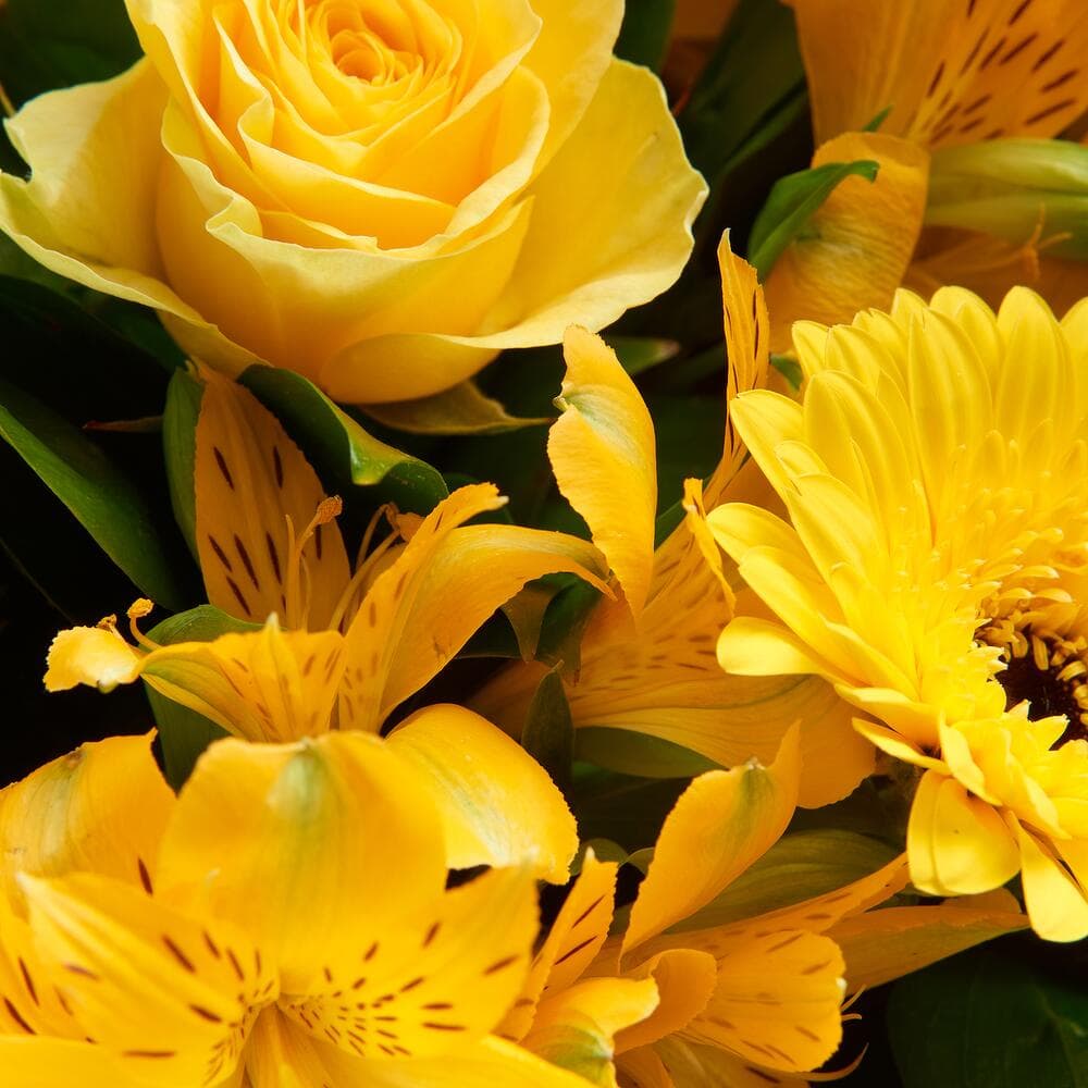 Желтый букет — купить в Ростове-на-Дону — фото 2